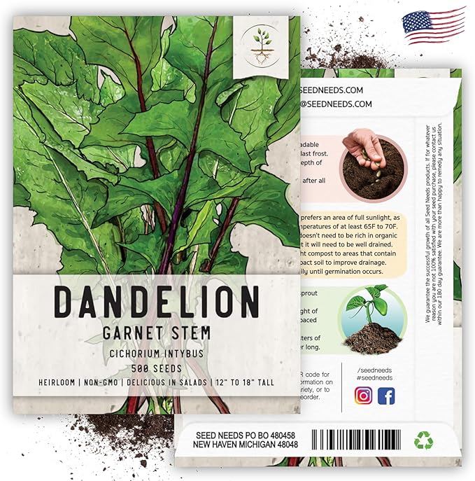 Seed Needs Garnet Stem Dandelion Seeds for Planting - Non-GMO, Heirloom & Untreated Edible Herbs - Organically Grow Your own Food for Tortoises, Rabbits & Bearded Dragons (1 Pack)