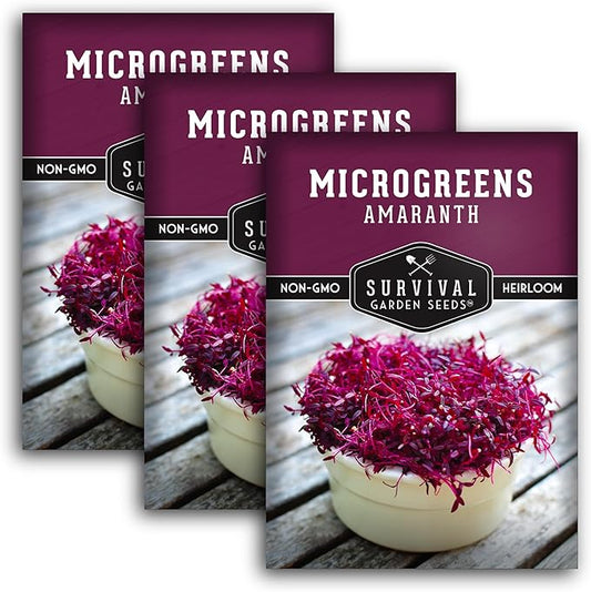 3 Packs Amaranth Microgreens Seeds for Planting and Growing - Plant Green Leafy Micro Vegetable Plants Indoors - Grow A Mini Windowsill Garden - Non-GMO Heirloom - Survival Garden Seeds