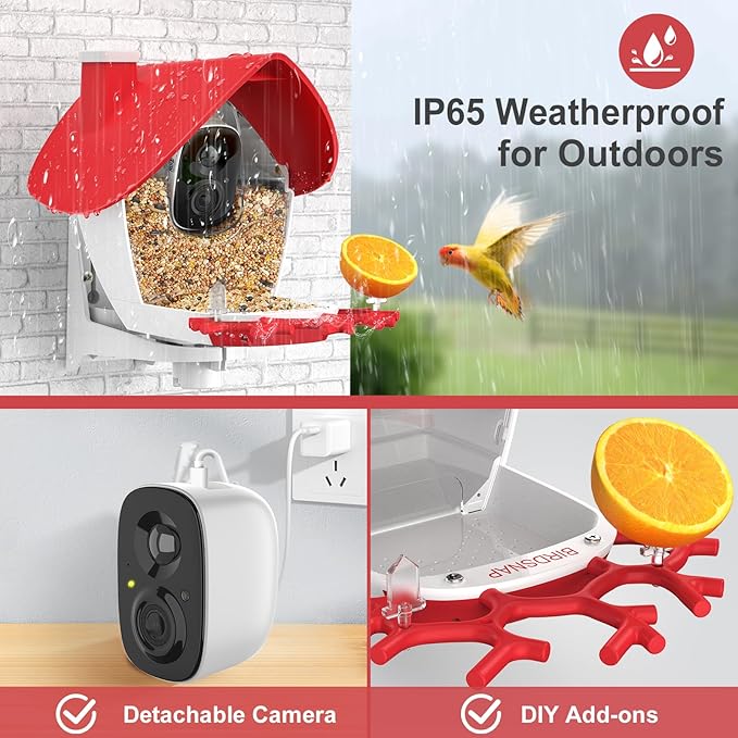 birdsnap® MON - Bird Feeder with Camera, 2K Detachable Video Bird Feeder Live with 32GB Card Fruit Fork, AI Identify Feather Species, Auto Record in Backyard, Ideal Gift for Birds Lover