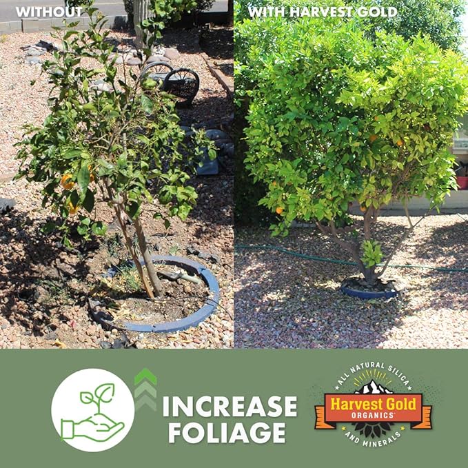 Organic Soil Conditioner, Natural Soil Amendment for Houseplants, Flowers, Lawns, Gardens and Trees, Provides Natural Silica and Micronutrients for Plants (3 Pound Bag)