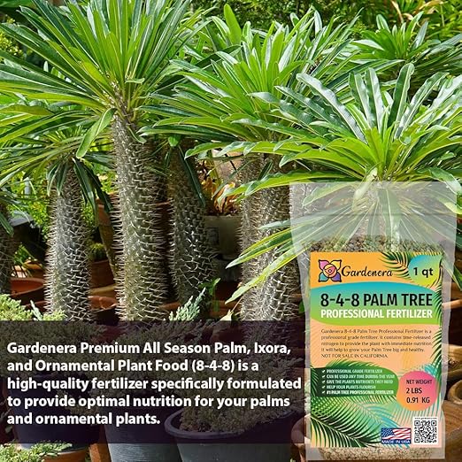 Premium All Season Palm, Ixora, and Ornamental Plant Food (8-4-8) - Nourish Your Landscape for Lush Growth and Beautiful Blooms - 1 Quart