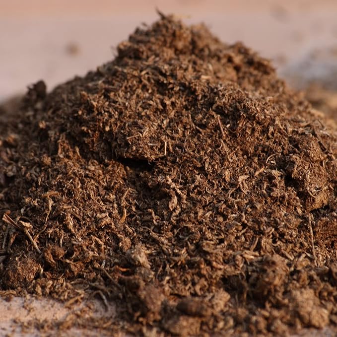 Peat Moss 2qt, Added to Soil and Enriches Plant Roots, Gardening Soil Amendment and Carnivorous Plant Soil Media