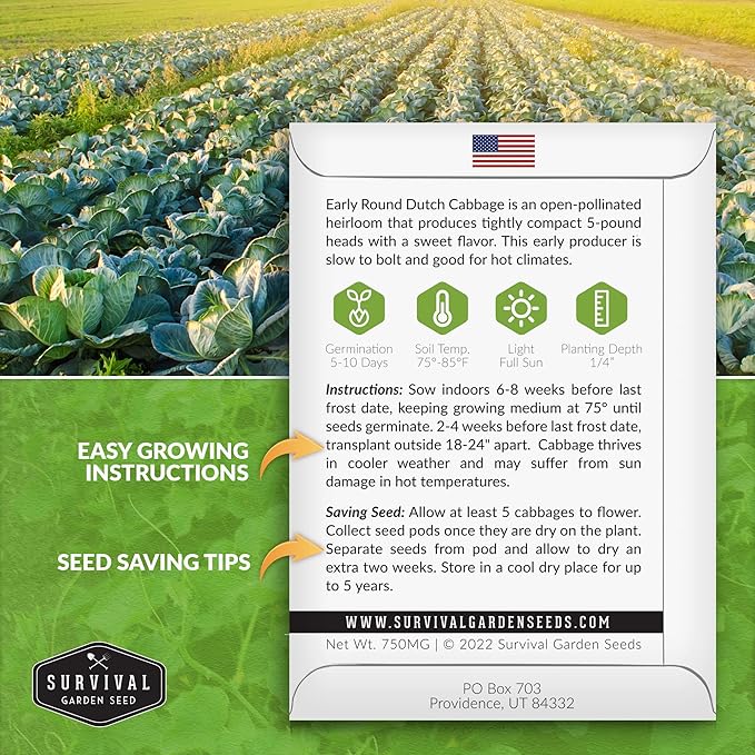 Survival Garden Seeds - Early Round Dutch Cabbage Seed for Planting - Packet with Instructions to Plant and Grow Green Cabbages in Your Home Vegetable Garden - Non-GMO Heirloom Variety