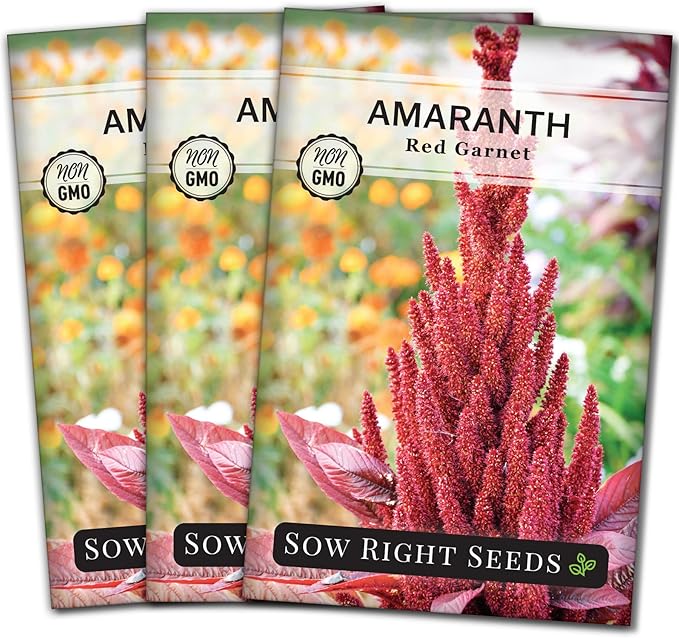 Sow Right Seeds - Red Garnet Amaranth Seeds for Planting - Non-GMO Heirloom Packet with Instructions to Plant & Grow an Outdoor Home Vegetable Garden - Colorful & Unique - Trailing Variety (3)