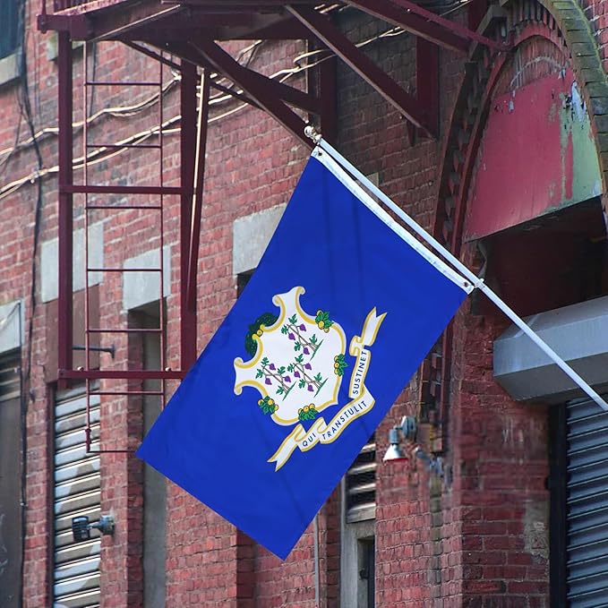 AMZFLAG Connecticut State Flag 3x5 ft Outdoor, Heavy Duty 3 Ply Polyester CT Connecticut Flags with 2 Brass Grommets, Patriotic Double Sided State of Connecticut Flag