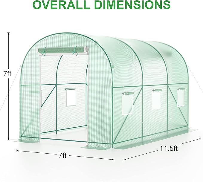 Outdoor Greenhouse with Screen Door,Outside Heavy Duty Walk in Green House for Garden Plants UV Protection Thermostatic Waterproof (Green, 10x10x7 FT)