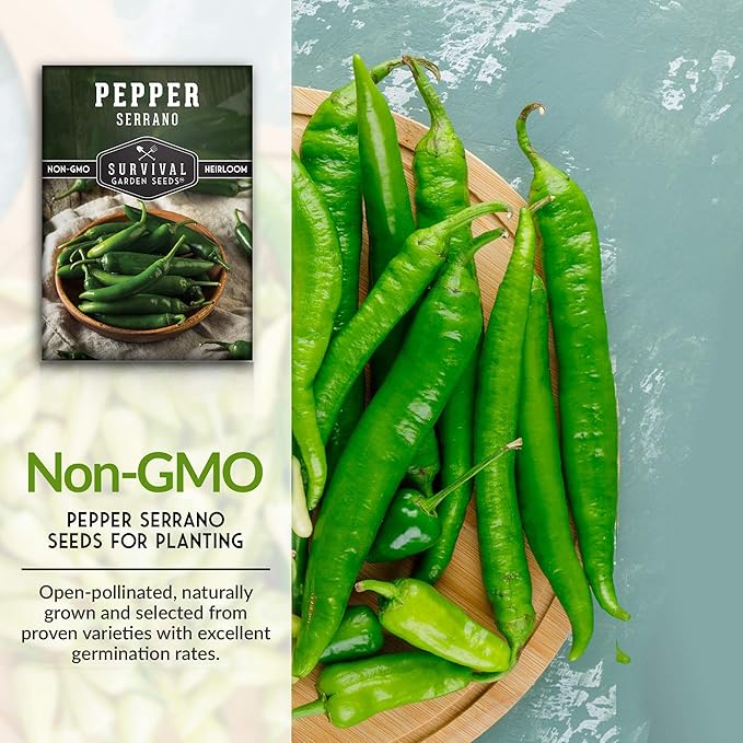 Survival Garden Seeds - Serrano Pepper Seed for Planting - 2 Packs with Instructions to Plant and Grow Spicy Mexican Peppers in Your Home Vegetable Garden - Non-GMO Heirloom Variety