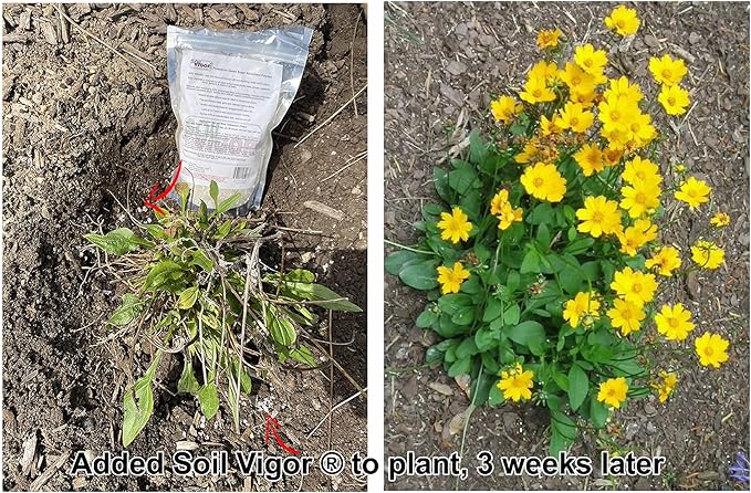 5LBS Large Water absorbing crystal,polymer, soil moist 2-4mm