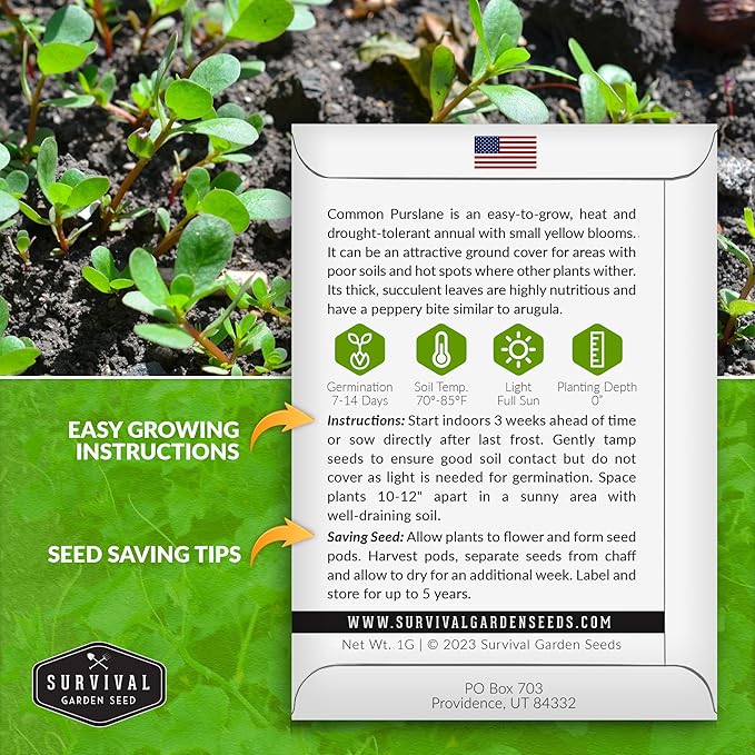 Common Purslane Seed for Planting - 2 Packets with Instructions to Plant and Grow Green Portulaca Oleracea in Your Home Vegetable Garden - Non-GMO Heirloom Variety - Survival Garden Seeds