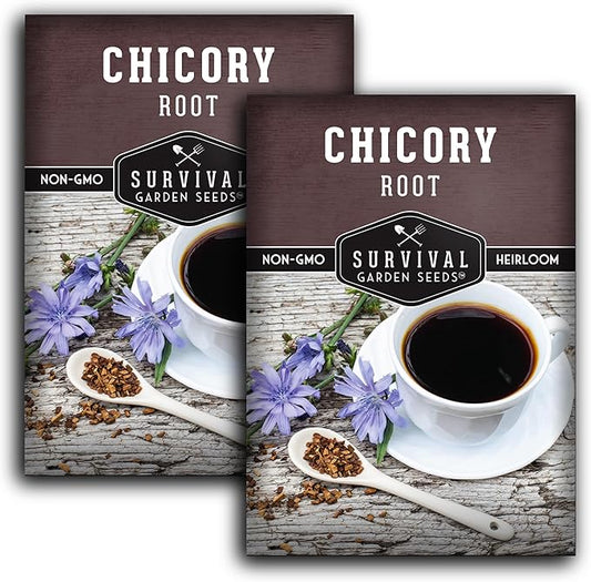 Root Chicory Seed for Planting - 2 Packets with Instructions to Plant and Grow Coffee Chicory in Your Home Vegetable Garden - Non-GMO Heirloom Variety - Survival Garden Seeds