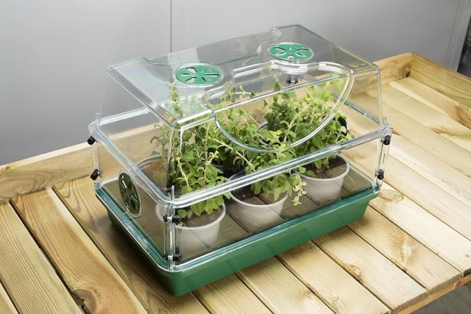 EarlyGrow Medium Seed and Herb Domed Propagator with Vented Side Height Extension and Security Clip Set,Green