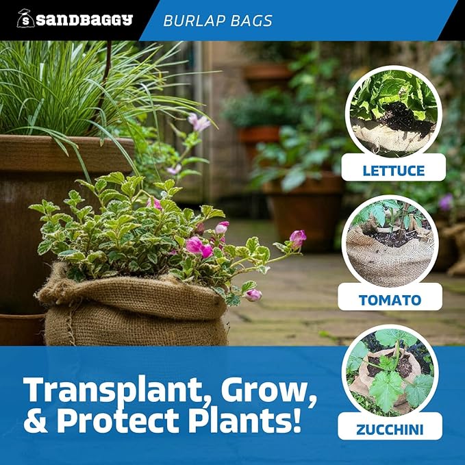 Burlap Bags 22" x 36" - Great for Planting/Gardening - Kids Sack Bag - Plant Covers - Sacks Burlap by Sandbaggy - Food Grade (Pack of 500)