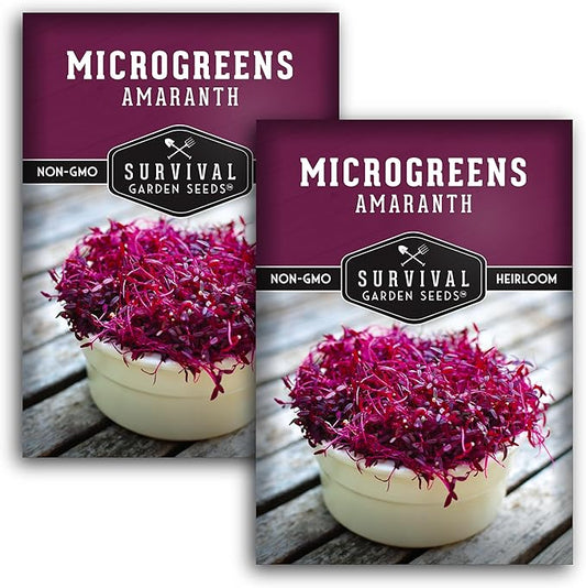 2 Packs Amaranth Microgreens Seeds for Planting and Growing - Plant Green Leafy Micro Vegetable Plants Indoors - Grow A Mini Windowsill Garden - Non-GMO Heirloom - Survival Garden Seeds