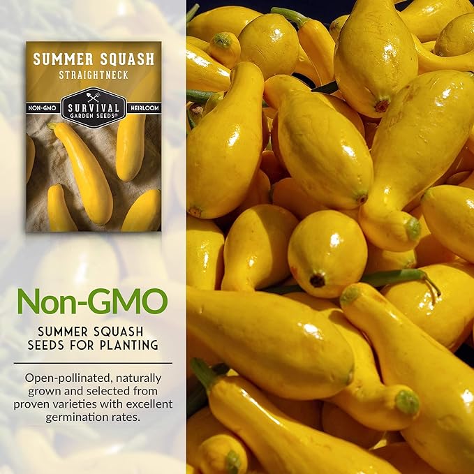 Survival Garden Seeds - Straightneck Summer Squash Seed for Planting - 3 Packs with Instructions to Plant and Grow Yellow Squash in Your Home Vegetable Garden - Non-GMO Heirloom Variety