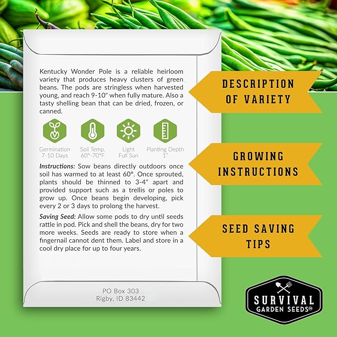 Survival Garden Seeds - Kentucky Wonder Pole Bean Seed for Planting - 1 Pack with Instructions to Plant and Grow Green Snap Beans in Your Home Vegetable Garden - Non-GMO Heirloom Variety