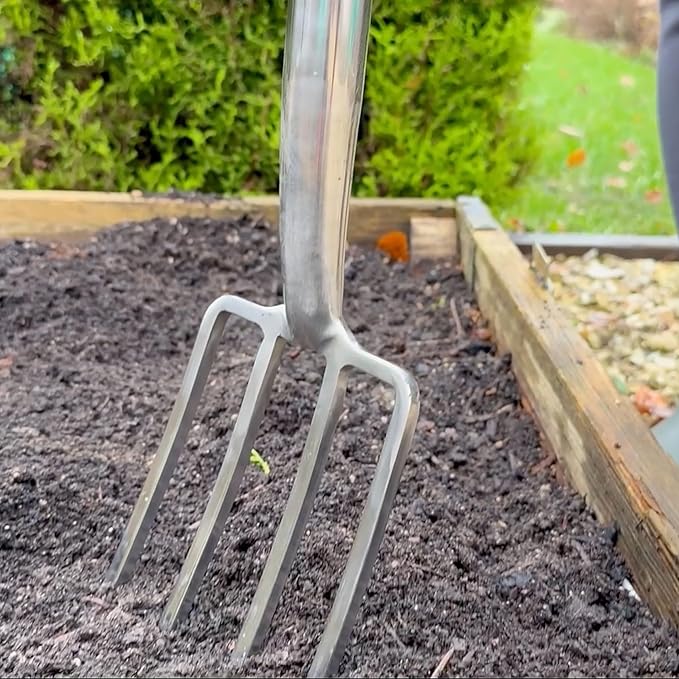 Spear & Jackson 4552BF Traditional Stainless Border Fork, Multi-Coloured
