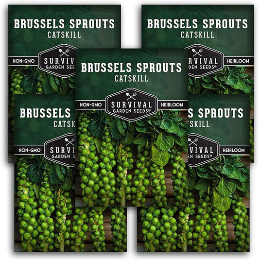 Survival Garden Seeds - Catskill Brussels Sprouts Seed for Planting - 5 Packs with Instructions to Plant and Grow Tasty Cruciferous Vegetables in Your Home Vegetable Garden - Non-GMO Heirloom Variety