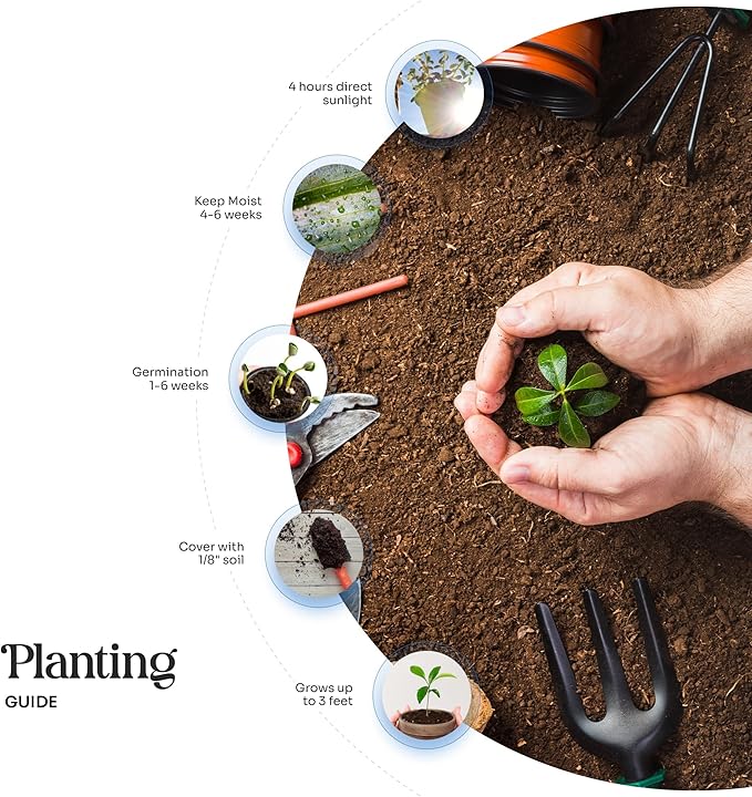 50 pcs Small Purple Butterflies – Plantable Seed Paper for Weddings, Gifts, and Life Events (#45s)