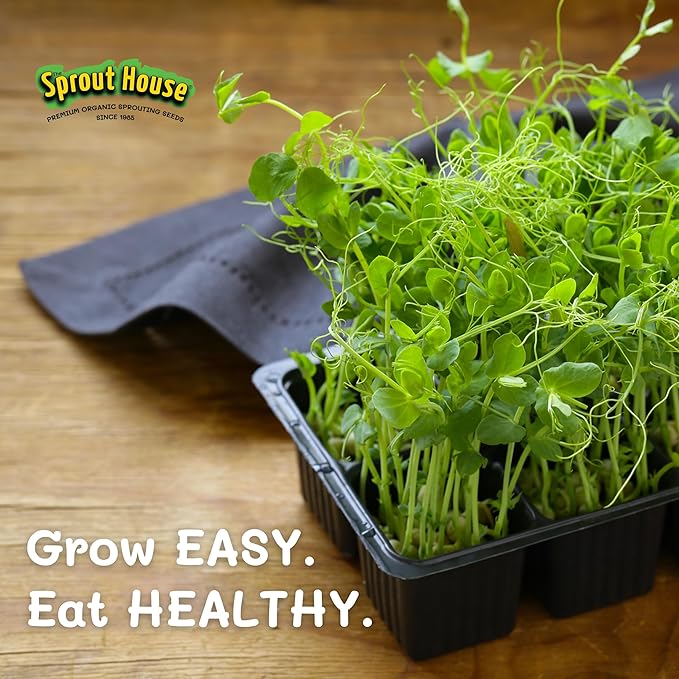 The Sprout House Green Peas – 1LB of Certified Organic Green Pea Sprouting Seeds – Plant, Sprout or Cook in Soup