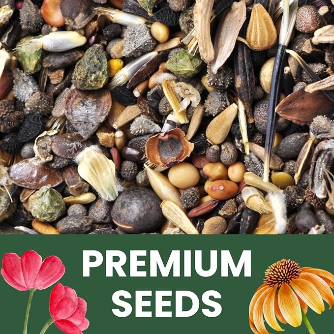 African Marigold Crackerjack - Bulk 1/4 Pound Pouch - 40,000 Flower Seeds for Planting - Tagetes erecta