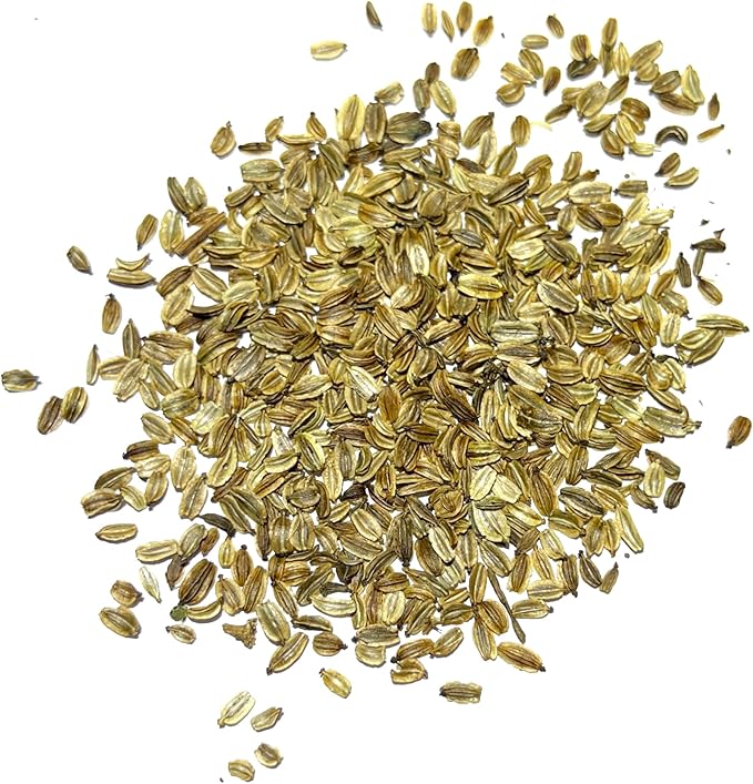 Seed Needs Lovage Seeds for Planting - Non-GMO, Heirloom & Untreated - Organically Grow Your own Medicinal/Culinary Herb Garden Indoors or Outdoors (5 Packs)