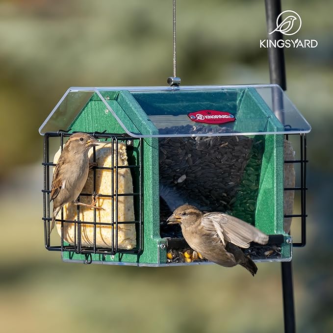 Kingsyard Hopper Bird Feeder for Outdoors Hanging, Recycled Plastic Double Suet Feeder with Clear View Windows, 3 LBS Seed, Cardinal Woodpecker Bluebird Feeder, Green