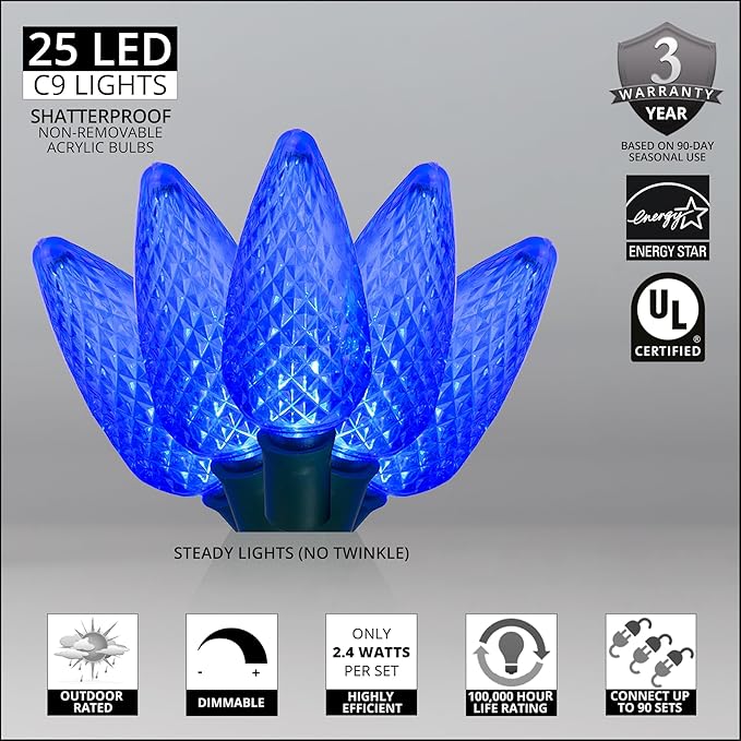 Wintergreen Lighting C9 Blue Christmas Lights, 17 ft LED Outdoor String Light Set, 25 Bulbs – Indoor/Outdoor Holiday Decor