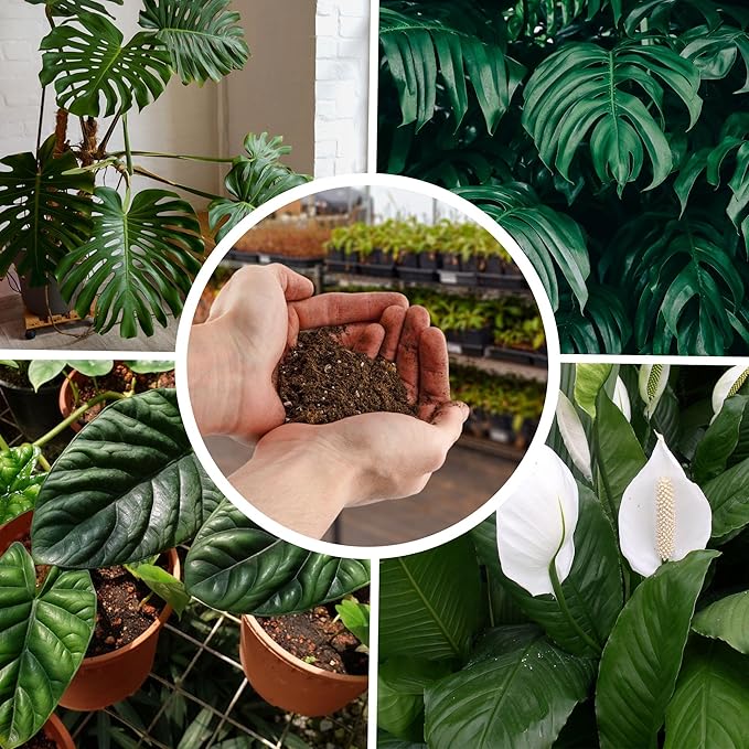 Tropical House Plant Potting Mix (12 Quarts); for All Types of Indoor House Plants