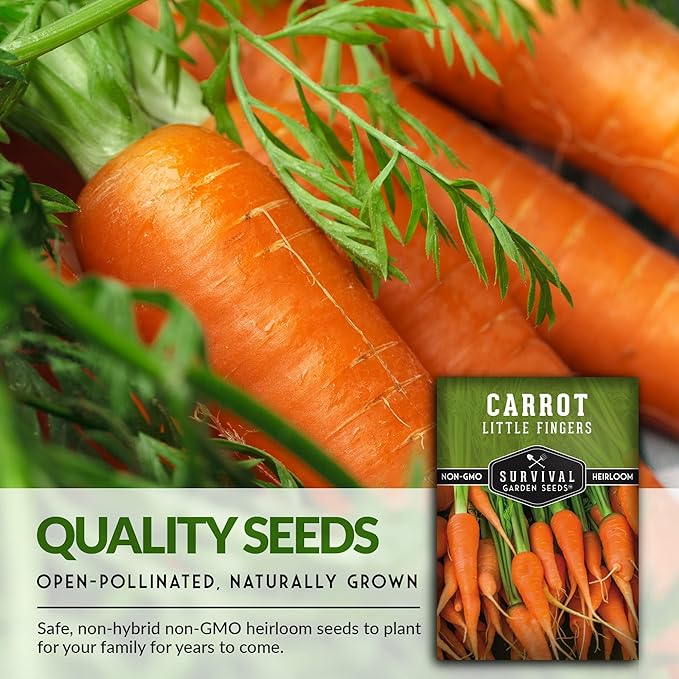 Survival Garden Seeds - Little Fingers Carrot Seed for Planting - Packet with Instructions to Plant and Grow Delicious Baby Carrots in Your Home Vegetable Garden - Non-GMO Heirloom Variety - 5 Pack