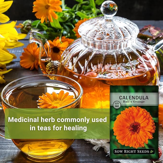 Sow Right Seeds - Ball’s Orange Calendula Seeds for Planting - Non-GMO Heirloom Packet with Instructions to Plant a Home Garden - Medicinal Orange Blooms That Pollinators Love - Grow Herbal Tea (1)