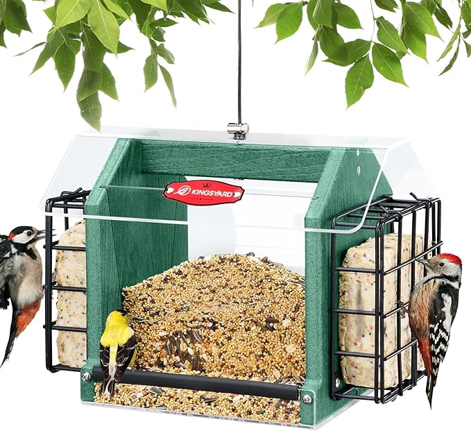 Kingsyard Hopper Bird Feeder for Outdoors Hanging, Recycled Plastic Double Suet Feeder with Clear View Windows, 3 LBS Seed, Cardinal Woodpecker Bluebird Feeder, Green