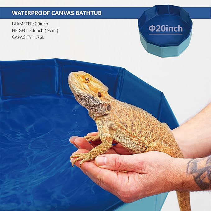 Bearded Dragon Foldable Bath Pool, Collapsible Wading Pool, Swimming Pool Bathtub for Puppy Small Dogs Cats