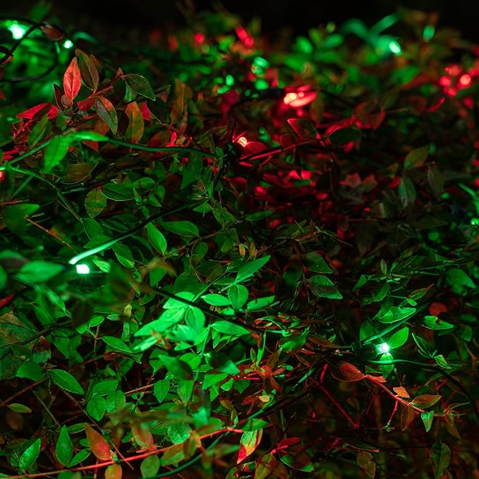 Wintergreen Lighting SoftTwinkle Pulsing Net Lights, Outdoor Twinkling Christmas Lights, Green Wire (70 Lights, 4' x 6', Red/Green)
