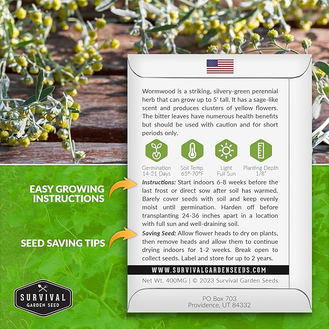 Wormwood Seeds for Planting - 1 Packet with Instructions to Plant and Grow Beneficial Medicinal Herbs in Your Home Herb Garden - Non-GMO Heirloom Variety - Survival Garden Seeds