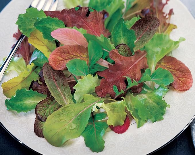 Burpee Salad Mix Mesclun Seeds 1800 seeds