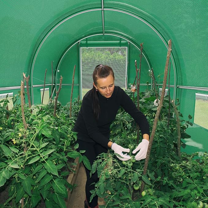 YITAHOME10'x7'x7' Greenhouses Large Walk-in Green House Heavy Duty Tunnel Green Houses Outdoor Portable Plant Gardening Upgraded Galvanized Steel Frame Zipper Doors 5 Crossbars Garden