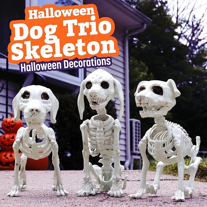 Halloween Dog Skeleton 3 Pack Indoor/Outdoor Decorations- 10" Plastic Animal Bones for Party Table Decor, Haunted Houses, & Graveyards- A Trio of Unique Canine Skeletons- Durable and Detailed Props
