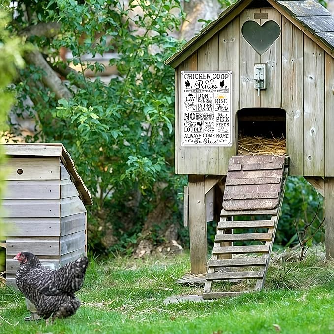 Funny Chicken Gifts Chicken Coop Rules Tin Sign for Home Farm Chicken Coop Farmhouse Kitchen Garden Decor 8 X 12 Inch (‌3720)