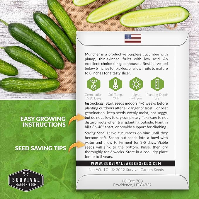 5 Packs Muncher Cucumber Seed for Planting - Packet with Instructions to Grow Burpless Slicing Cucumbers in Your Home Vegetable Garden - Non-GMO Heirloom Variety - Survival Garden Seeds