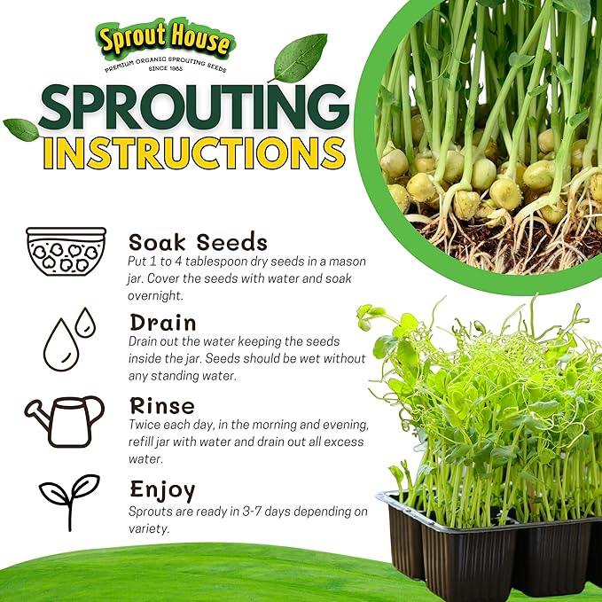 The Sprout House Green Peas – 1LB of Certified Organic Green Pea Sprouting Seeds – Plant, Sprout or Cook in Soup