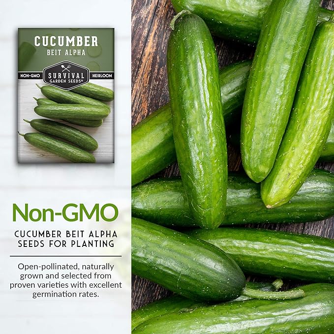 Survival Garden Seeds - Beit Alpha Cucumber Seed for Planting - Pack with Instructions to Plant and Grow Smooth Green Burpless Cucumbers in Your Home Vegetable Garden - Non-GMO Heirloom Variety - 5