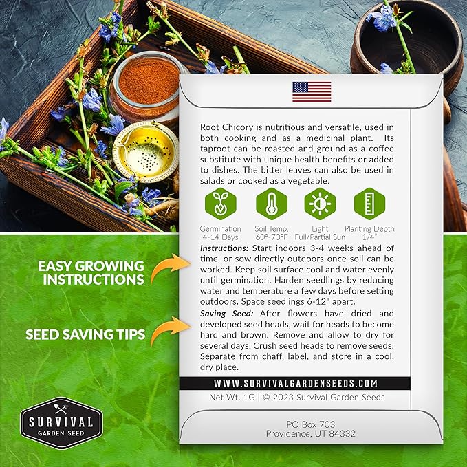 Root Chicory Seed for Planting - 3 Packets with Instructions to Plant and Grow Coffee Chicory in Your Home Vegetable Garden - Non-GMO Heirloom Variety - Survival Garden Seeds