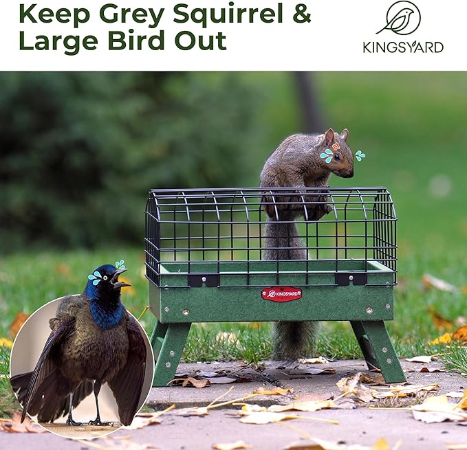 Kingsyard Squirrel Proof Ground Bird Feeder for Outdoors - Recycled Plastic Platform Feeding Station, Fly-Through Metal Caged Wild Bird Feeder for Small Birds, 5 LBS Large Capacity, Green