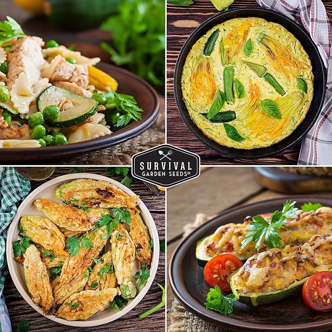 Survival Garden Seeds - Black Beauty Zucchini Seed for Planting -3 Packs with Instructions to Plant & Grow Dark Green Summer Squash Plants in Your Home Vegetable Garden - Non-GMO Heirloom Variety