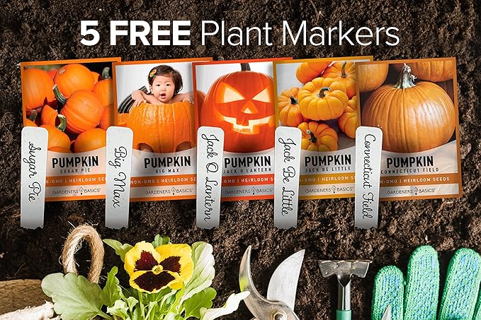 Gardeners Basics, Pumpkin Seeds to Plant - 5 Variety Baby Boo, Giant Big Max, Jack Be Little, Jack O Lantern, Sugar Pie, Great for Pumpkin Seed for Summer, Fall, Pumpkin Seeds for Planting