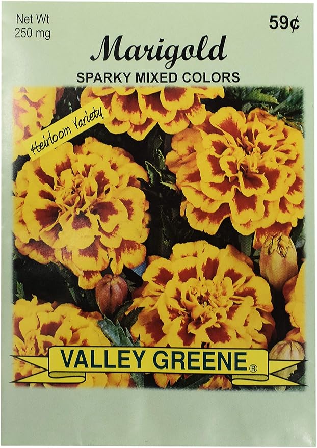 Black Duck Brand Set of 25 Packs of Marigold Sparky Flower Seed Packets! Flower Seeds in Bulk - Great for Creating The Garden of Your Dreams! (25, Marigold - Sparky Mixed)