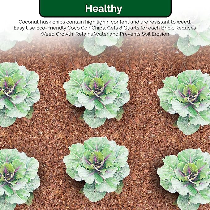 UBICON Easy to Use Compressed Coco Coir Organic Top Soil for Indoor and Outdoor; 24 Bricks expands to 60 Gallons, Excellent Aeration, Reduces Weed Growth, and Retains Water