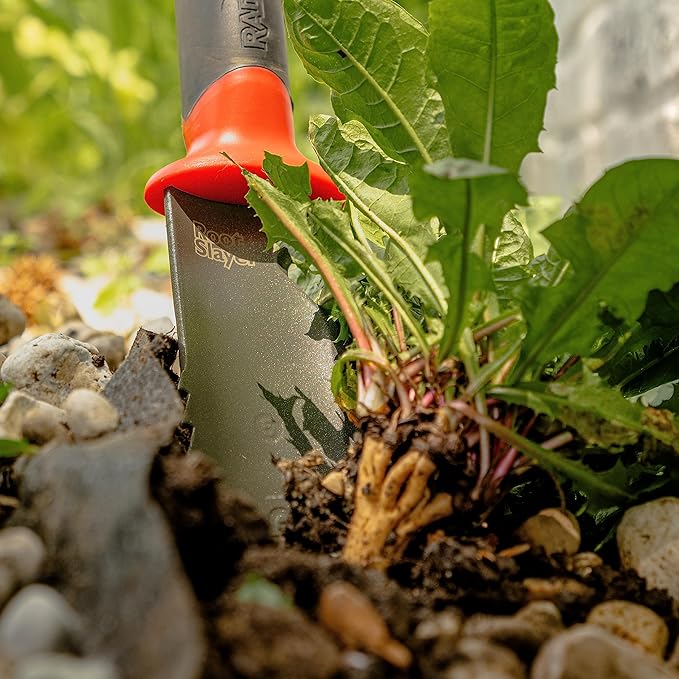 Radius Garden 23311 Root Slayer Perennial Shovel, Red & 16211 Root Slayer Soil Knife, Red