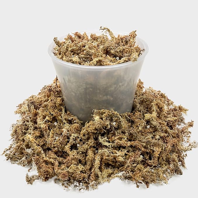 Gardenera Sphagnum Moss Potting Mix for Carnivorous Plants, Moss and Perlite Blend for Potting Venus Fly Traps, Sarracenia, Pitcher Plants - Sphagnum Moss & Perlite - Made in USA - 10 Quart