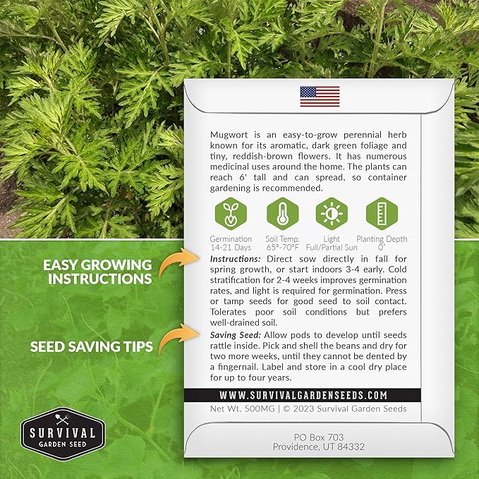Common Mugwort Seed for Planting - 5 Packets with Instructions to Plant and Grow Artemisia Vulgaris in Your Home Vegetable Garden - Non-GMO Heirloom Variety - Survival Garden Seeds